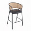Tabouret de bar d'intérieur revêtu de métal, siège en similicuir avec dossier en rotin Wowen, ensemble de 2