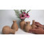 Ensemble de 5 vases Natural Beauties