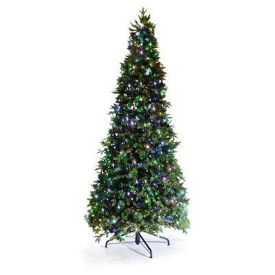 Lighted Christmas Tree