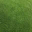 3.2cm Grass-40032173