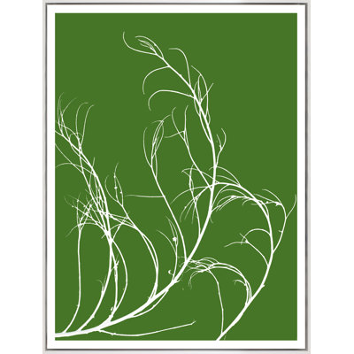 Tumbleweed Botanical Print
