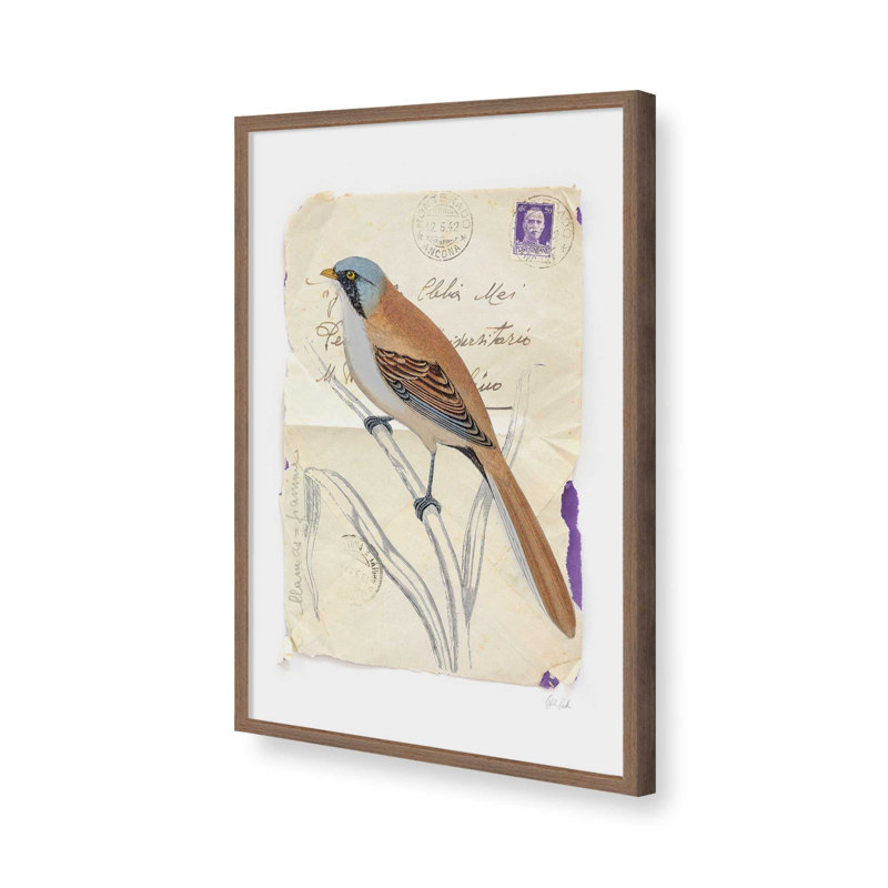 Reproduction d'art sur toile, "Beardy Tit" par Deborah Revell, H 16 po x l 12 po, Brun