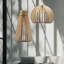 Luminaire suspendu 1 lumière Andromede-98891883