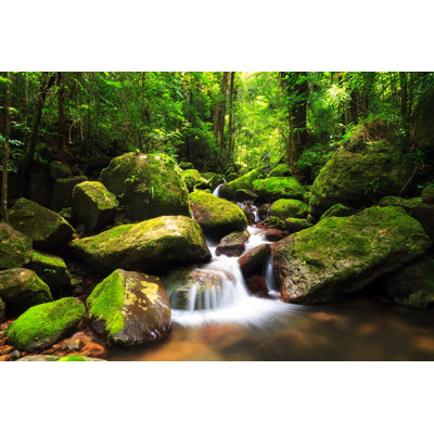 Madlyne Masoala Cascade - Wrapped Canvas Print
