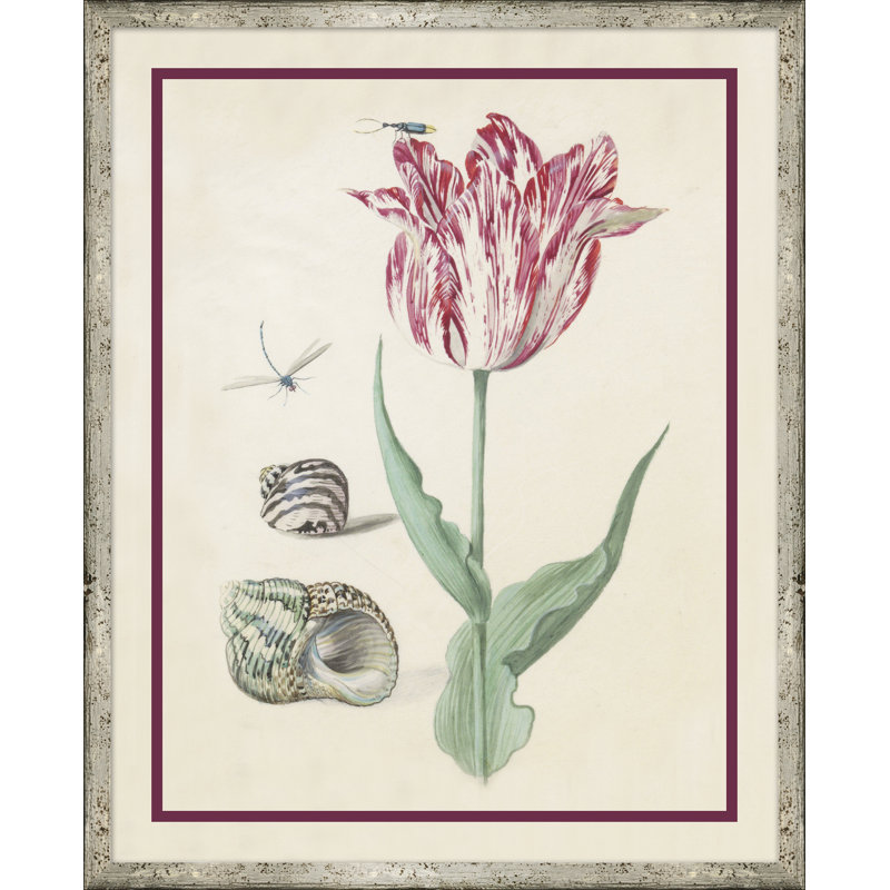 Fleur, coquillage et insecte I - Peinture encadrée sur papier