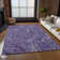 Paisley Indoor / Outdoor Rug