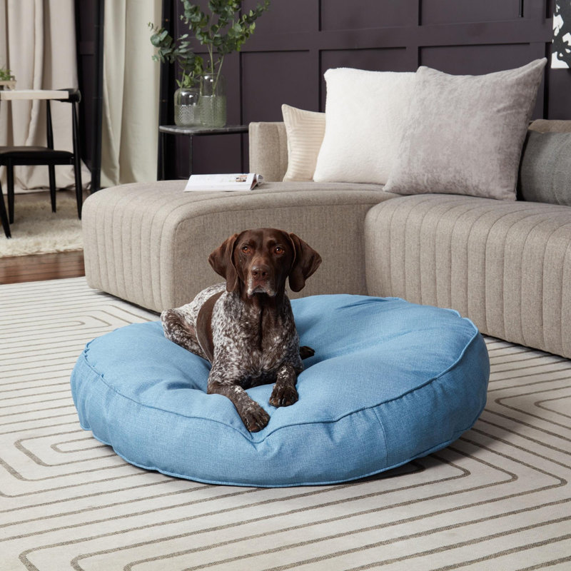 Lit-coussin pour chien Gordie, Très grand (l 42 po x P 42 po x H 6 po), Bleu
