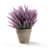 9.5'' Faux Herbs Plant in Planter