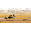 Parvez Taj - Wrapped Canvas Print-16672819