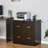 Vinsetto 2-Drawer File Cabinet With Lock And Keys, Vertical Storage Filing Cabinet With Hanging Bar For Letter Size, Home Office-899271065