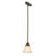 Luminaire suspendu à 1 lumière Anaeli