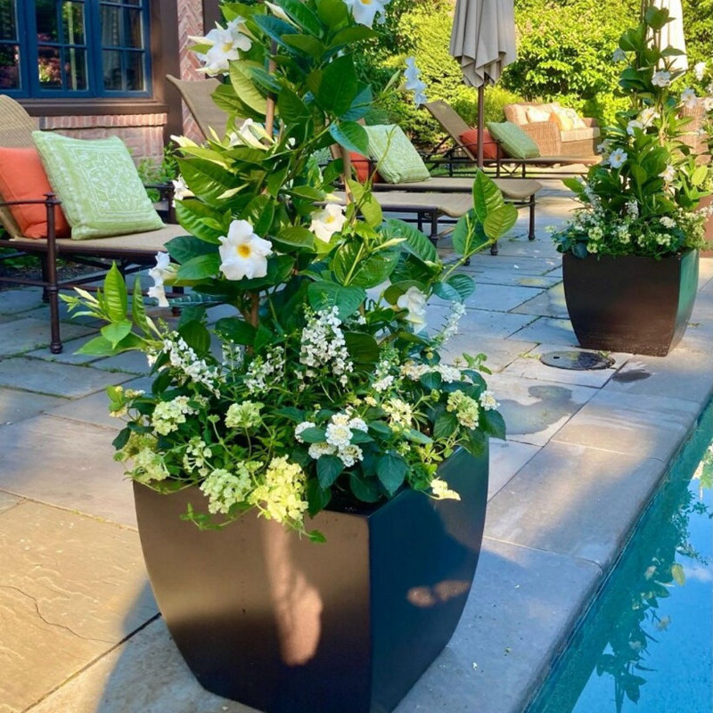 Alexy Pacifica Square Curved Planter Box, Brown, 18.5" H x 20" W x 20" D