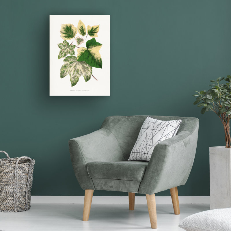 Art sur toile Les Plantes, H 24 po x l 18 po