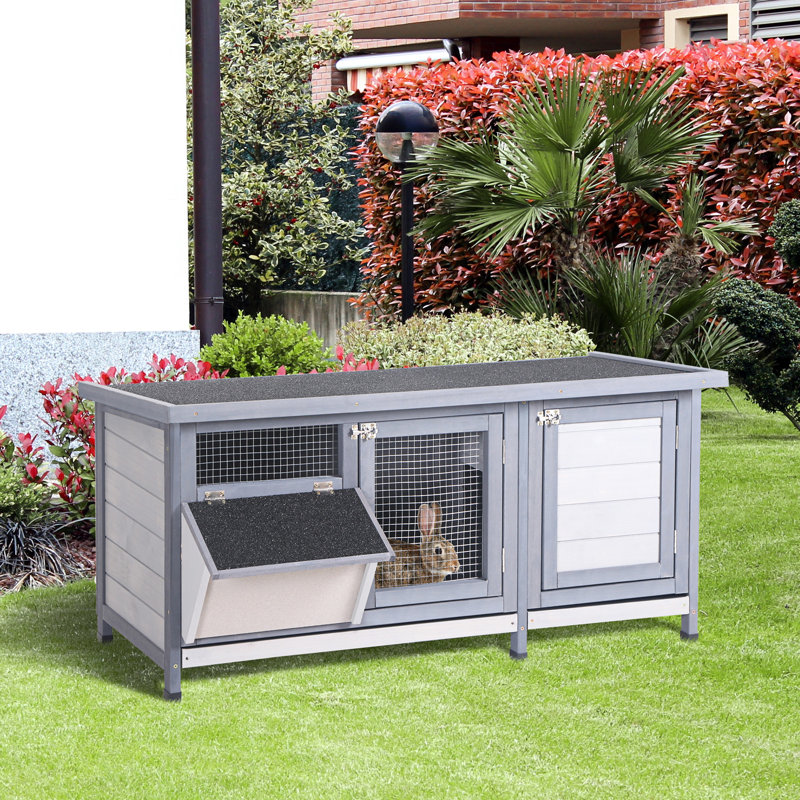 - Bois, gris, imperméable, avec aire d'alimentation et grand cochon d'Inde intérieur, espace, toit ouvrable, intérieur / extérieur