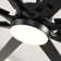 Boleslaus 65'' Ceiling Fan with LED Lights
