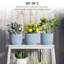 Pot Planter-600870896-600870902