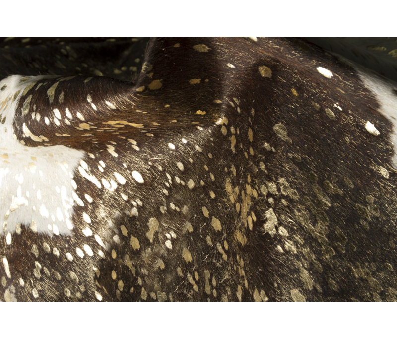 Connon Handmade Cowhide Rectangle 6' x 7' Cowhide Area Rug in Gray/Gold