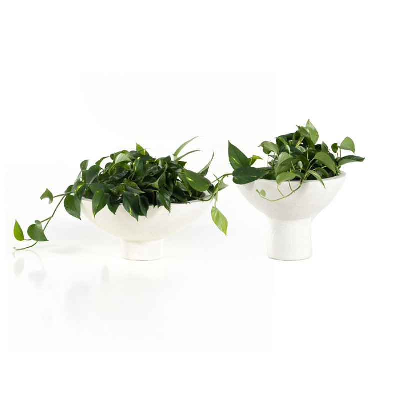 Pressler Planter