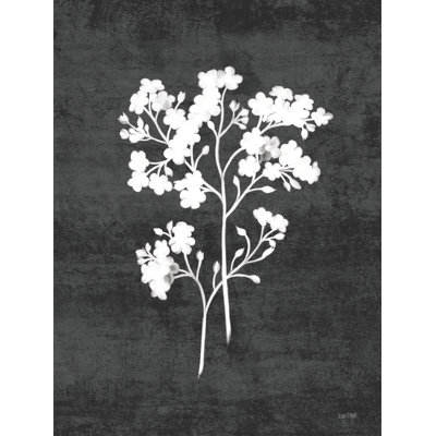 Wild Milkweed I by House Fenway