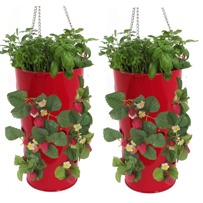 Licola Handmade Metal Hanging Planter, Hot Pink, 12" H 7" W x 7" D
