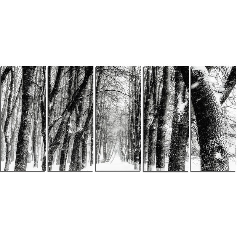 «Snowy Forest Black and White», ensemble de 5 reproductions de photos sur toiles tendues