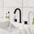 Casainc Widespread 2-handle Bathroom Faucet-105904212