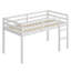 Wooden Loft Bed With Ladder-1049872959