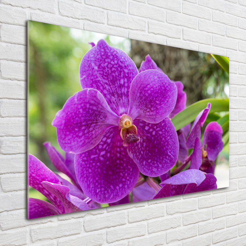 Orchid - No Frame Print on Glass