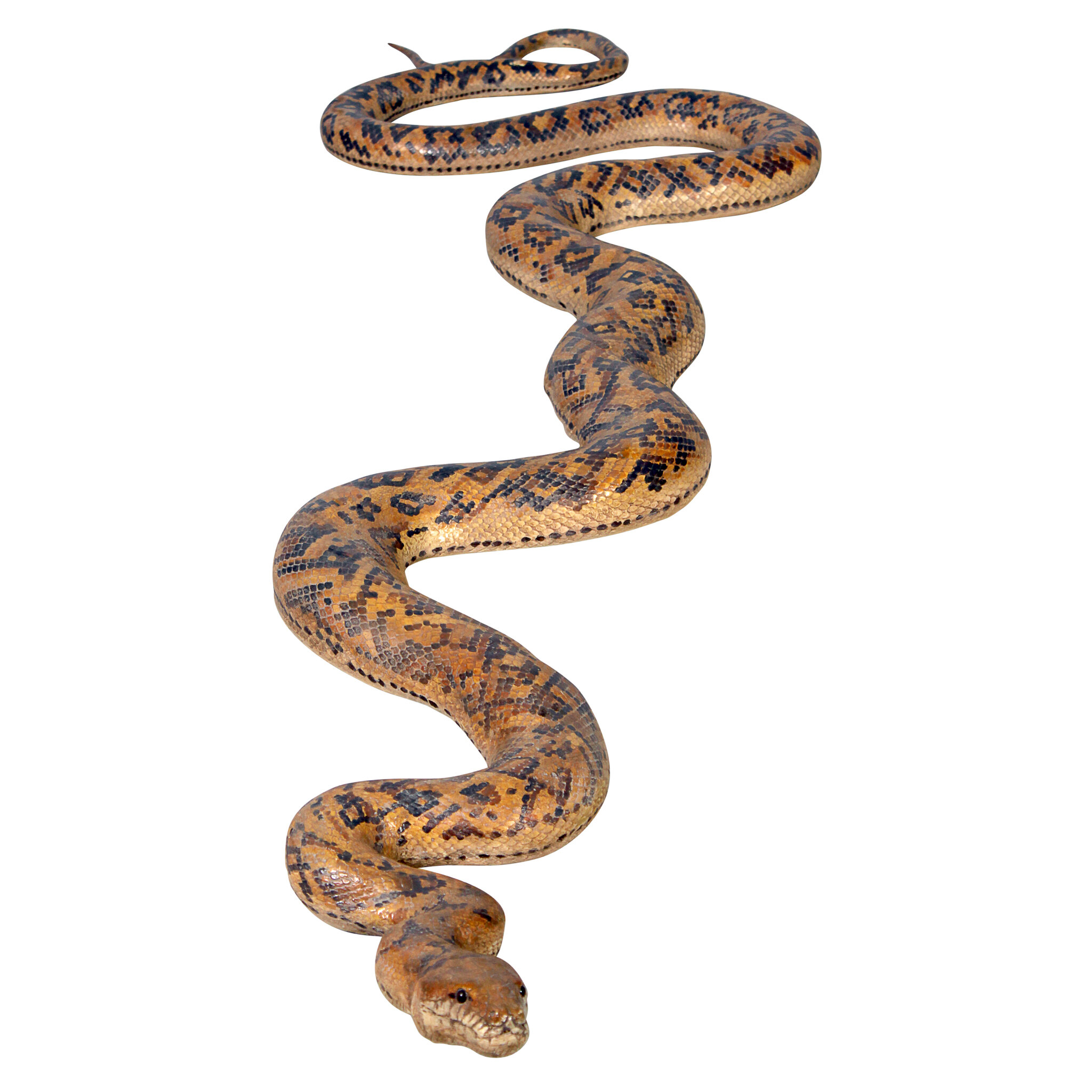 Design Toscano Giant Burmese Python Snake Statue | Wayfair