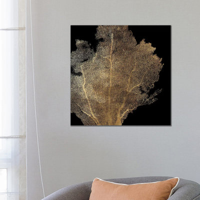 Honeycomb Coral I by Aimee Wilson - Wrapped Canvas Print