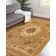 Aracelia Oriental Indoor Rug