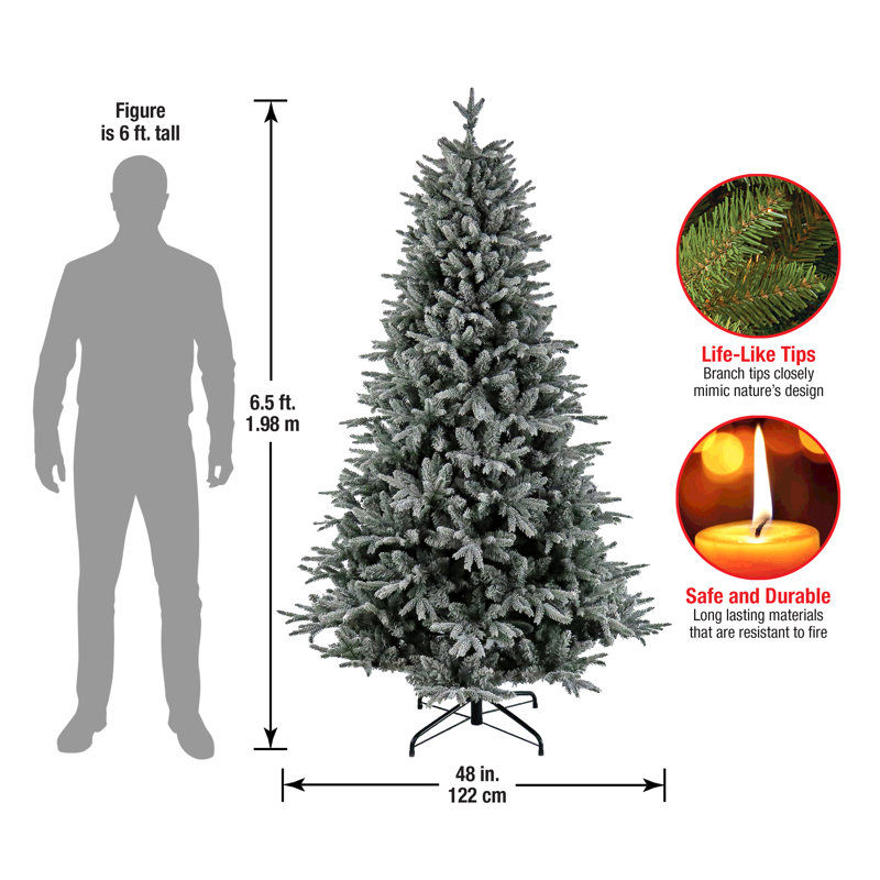 10 Ft. Holliston Tree, 6.5' H