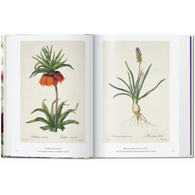 Redouté. The Book of Flowers. 45th Ed.