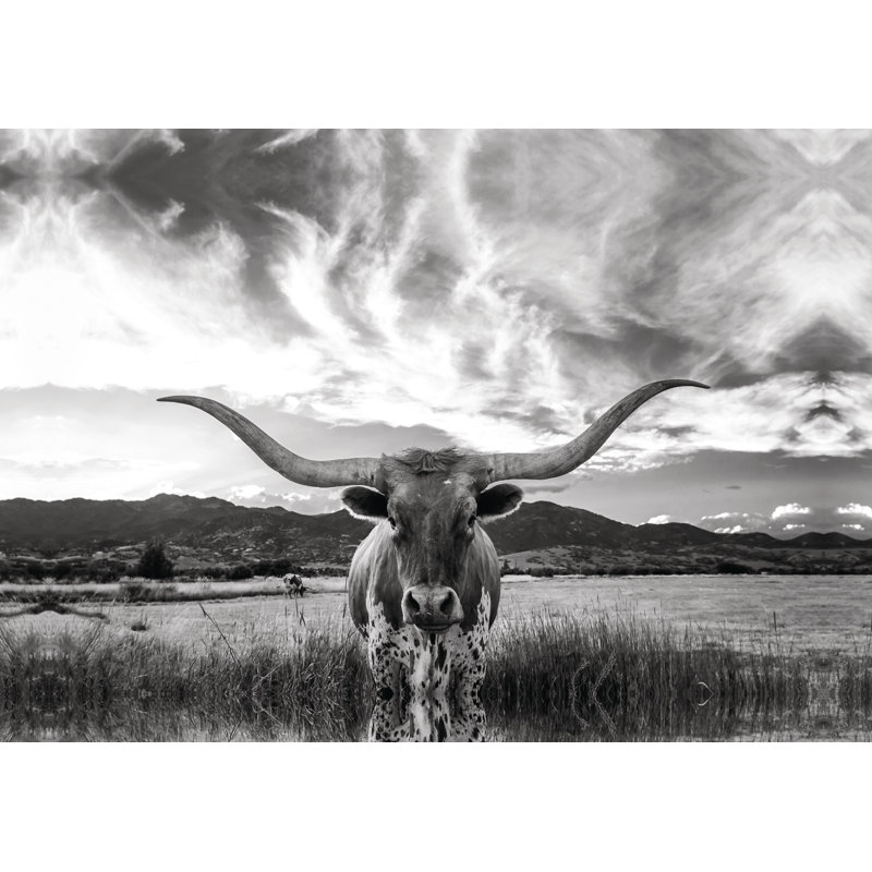«Black and White Longhorn Cow I», photographie sur toile tendue, H 8 po x l 12 po, Toile avec cadre érable, Noyer