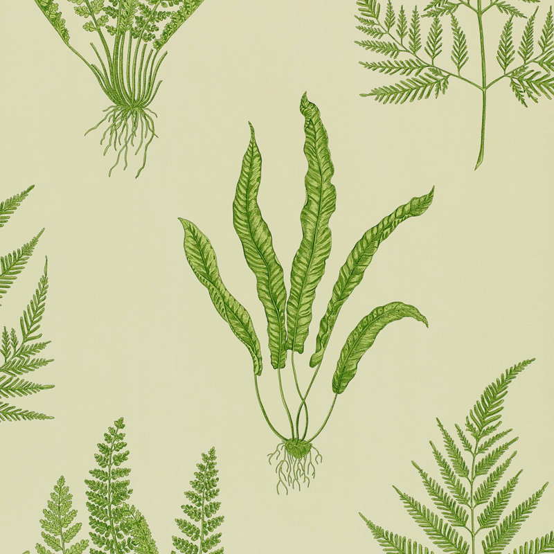 Woodland Ferns 10.05m x 52cm Matte Wallpaper Roll