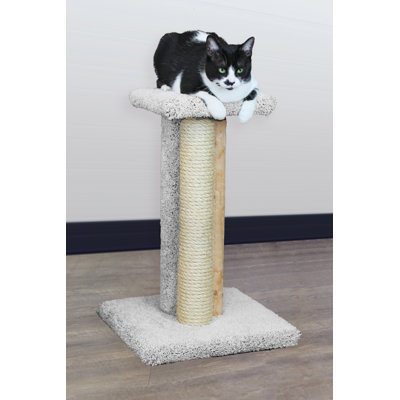 24'' H Cat Tree