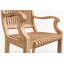 Palm Teak Patio Dining Chair