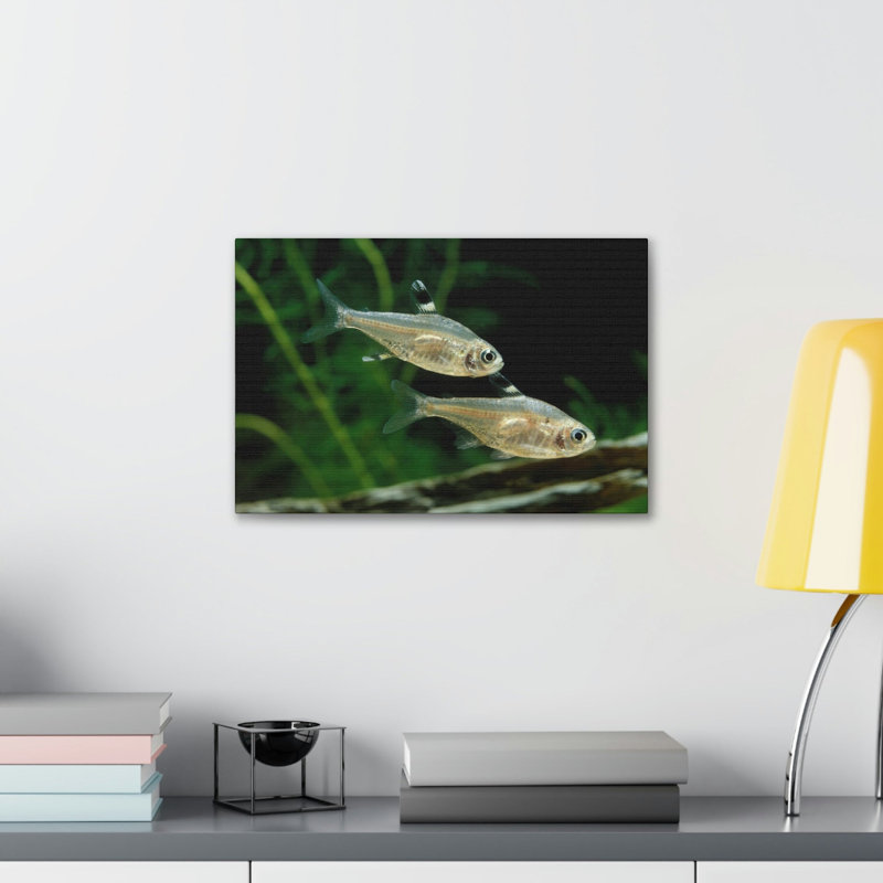 No Frame Print on Canvas, 27.94cm H x 35.56cm W