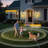 Armed Outdoor Sconce Wall Lanterns-736575517