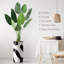 Arbre artificiel avec motif de bloc de couleur noir et blanc, arbre artificiel pour salon, chambre à coucher, bureau, 5,58 pieds (67 po) Signleader-273170119