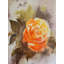 Blooming Rose, peinture | Aquarelle sur une feuille faite à la main | Sakshi Agarwal