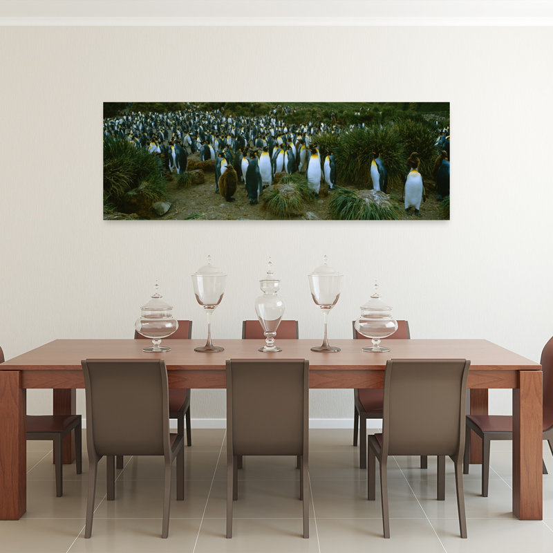 High angle view of a colony of King penguins Royal Bay South Georgia Island Antarctica 1 Piece Wrapped Canvas Panoramic Wall Art