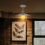 Amayla Semi Flush Mount-1096436044