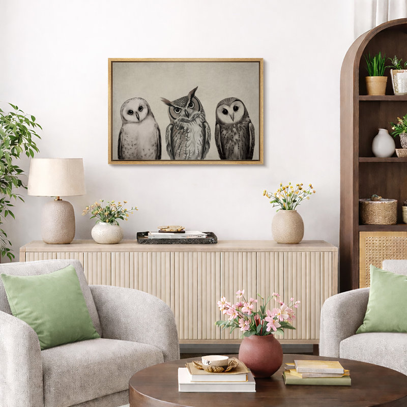 "Bird Birds", variété de chouettes, encadrée sur toile, H 16 po x l 24 po x P 1,5 po, Naturel
