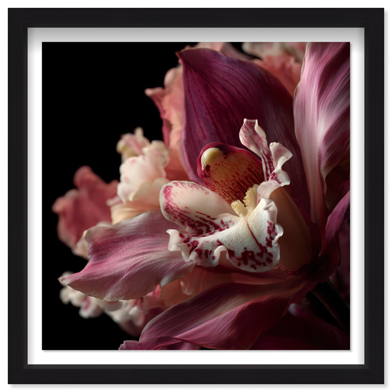 Velvet Labellum Print by Oliver Gal, 25.5"H x 25.5"W, Black Shadowbox