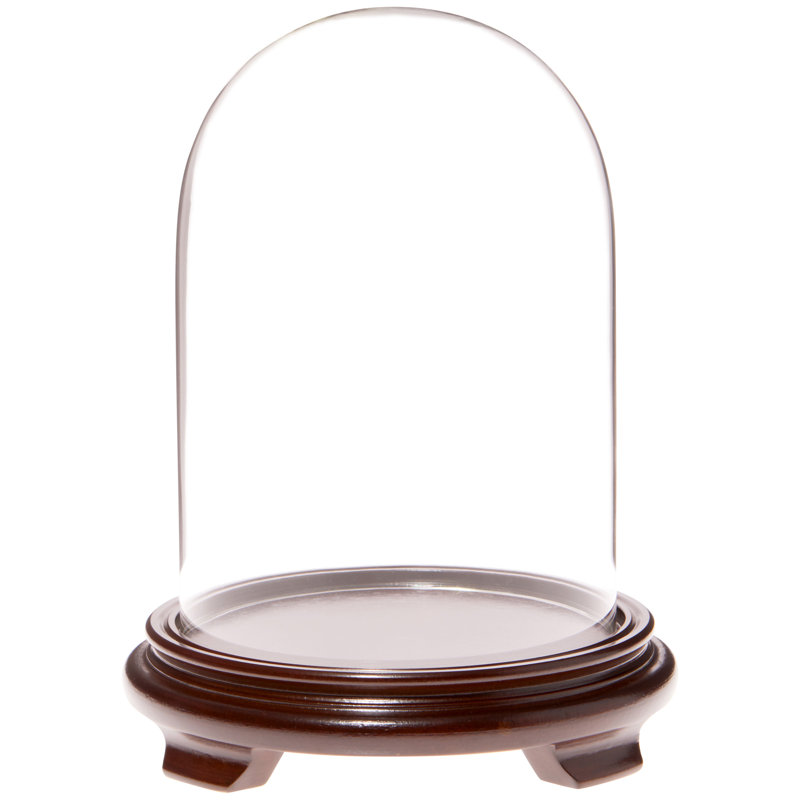 Keiarra 5.5" x 8" Glass Display Dome Cloche, Walnut Wood Veneer Base