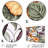 Plants & Flowers Wall Decor on Metal