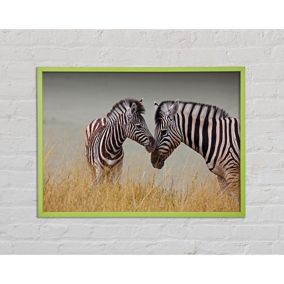 Mutter und Baby Zebra - Druck