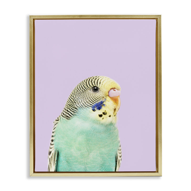 "Pastel Budgie Bird", art mural sur toile flottante par Sissi et Seb, Cadre flottant métallique doré, H 21 po x l 17 po