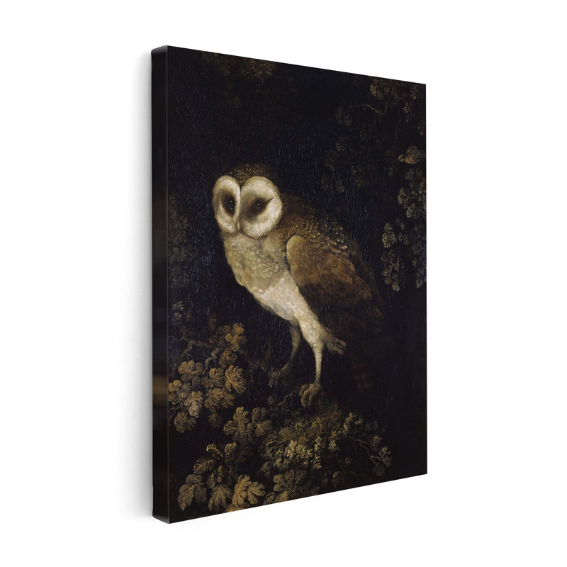 Moïse Haughton - un hibou, H 24 po x l 32 po, Canevas, Sans cadre